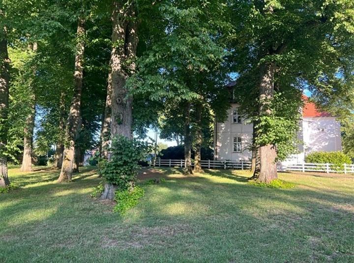 Familienfreundliche Ferienwohnung Mit Wintergarten Badow Dış mekan fotoğraf